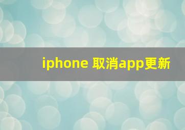 iphone 取消app更新